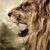 Wild Life Glas Case – TPU Case mit Glaseinsatz
